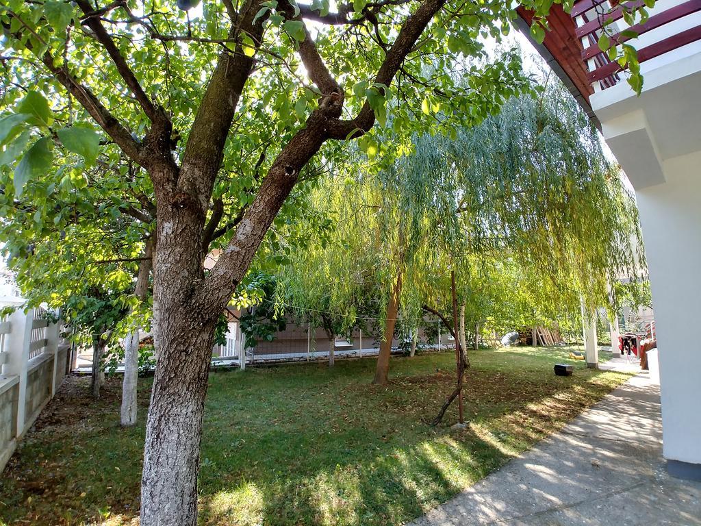 Forest Apartment Nikšić Exteriör bild